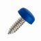 Kennzeichen Schrauben mit Kappen 4er Set Nummernschild Schrauben Set 4,8 x 16mm Edelstahl inkl. Abdeckkappen Befestigungsschrauben Kennzeichenbefestigung